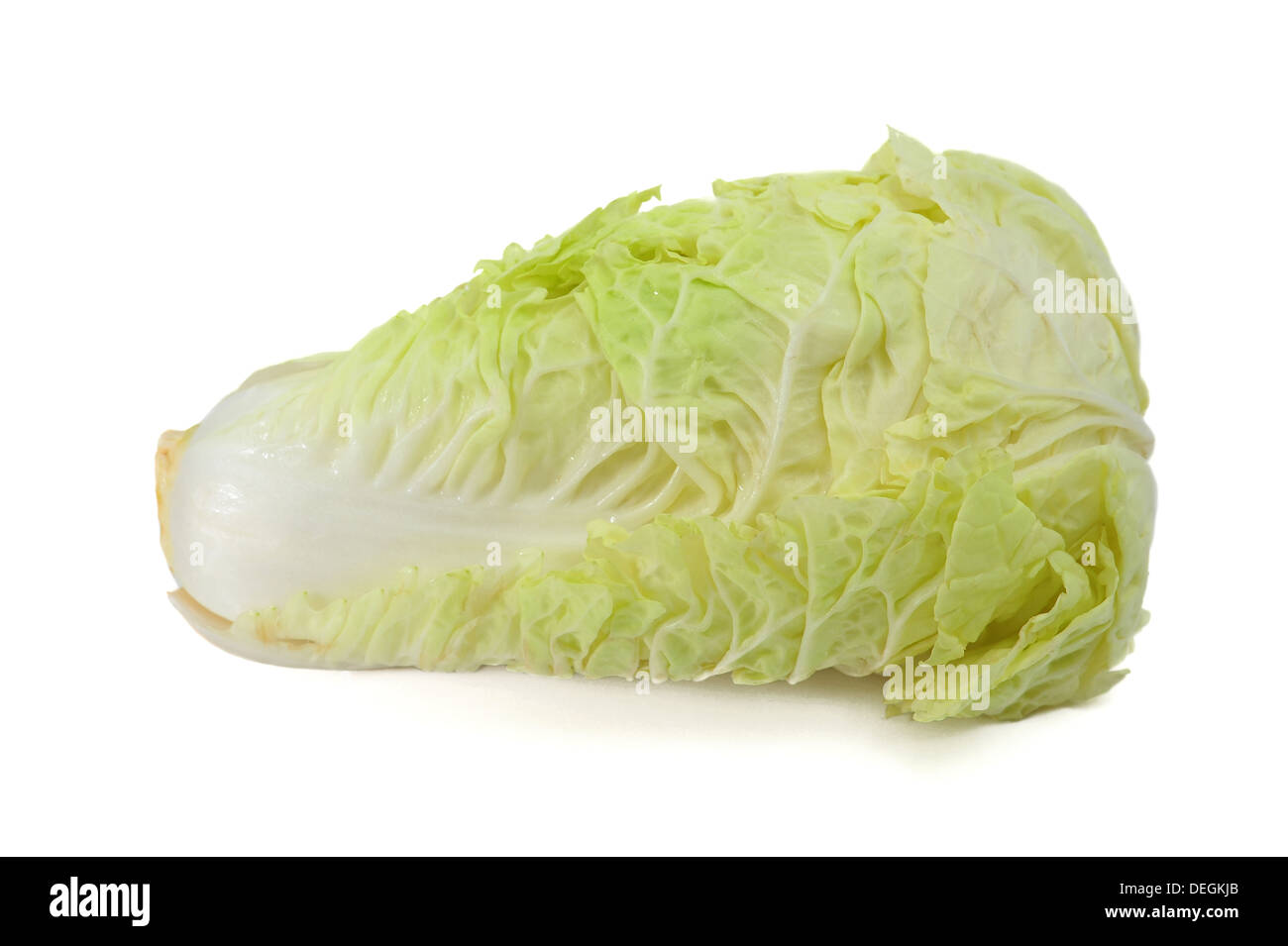Chinese cabbage isolated on the white background Stock Photo