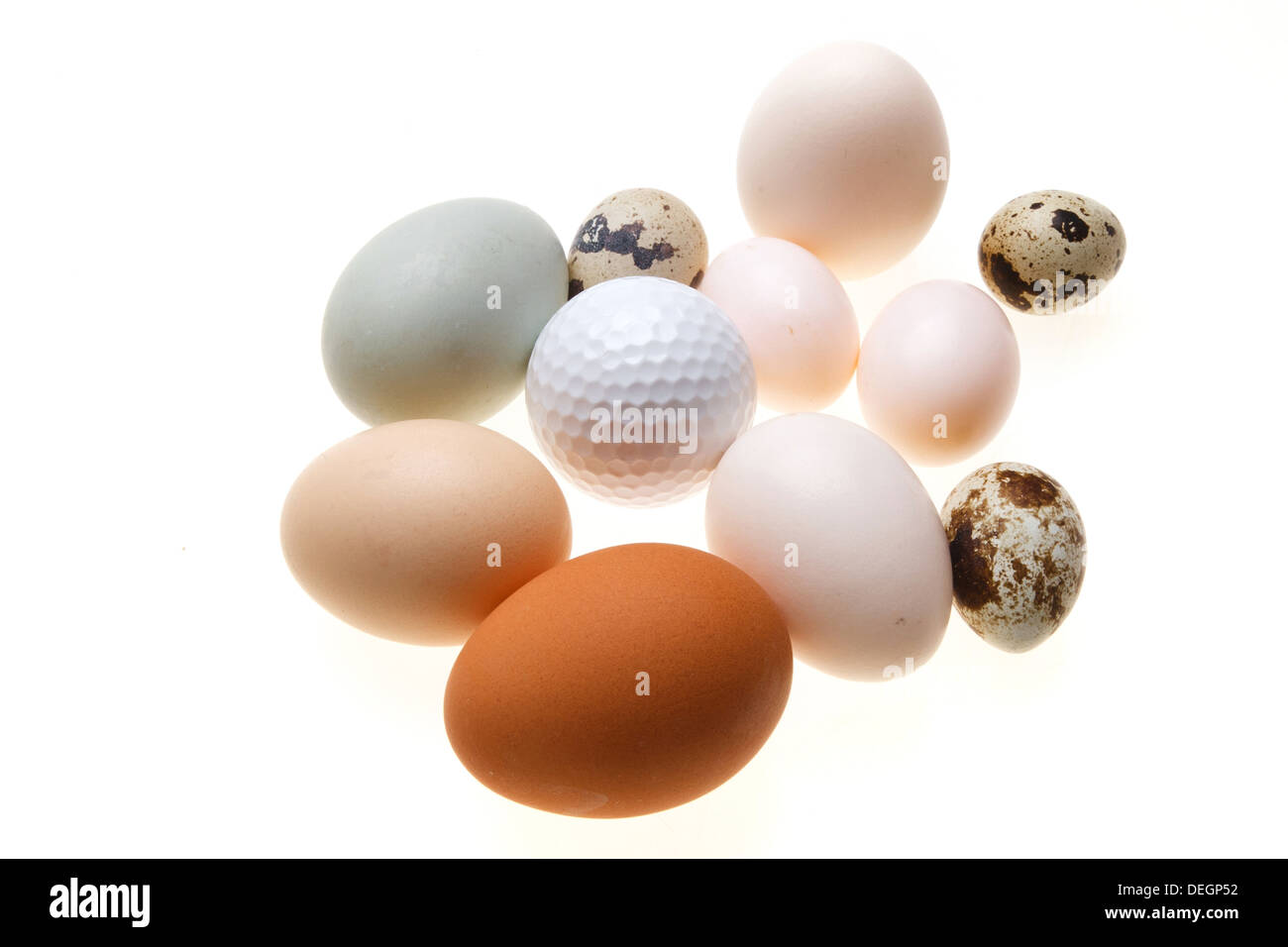 Eggs and golf ball Stock Photo Alamy