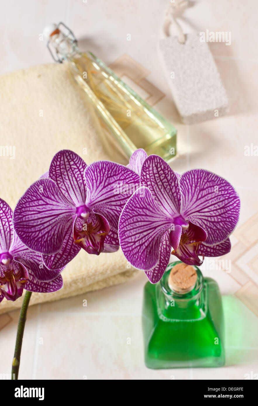 orchid in the bathroom Stock Photo Alamy