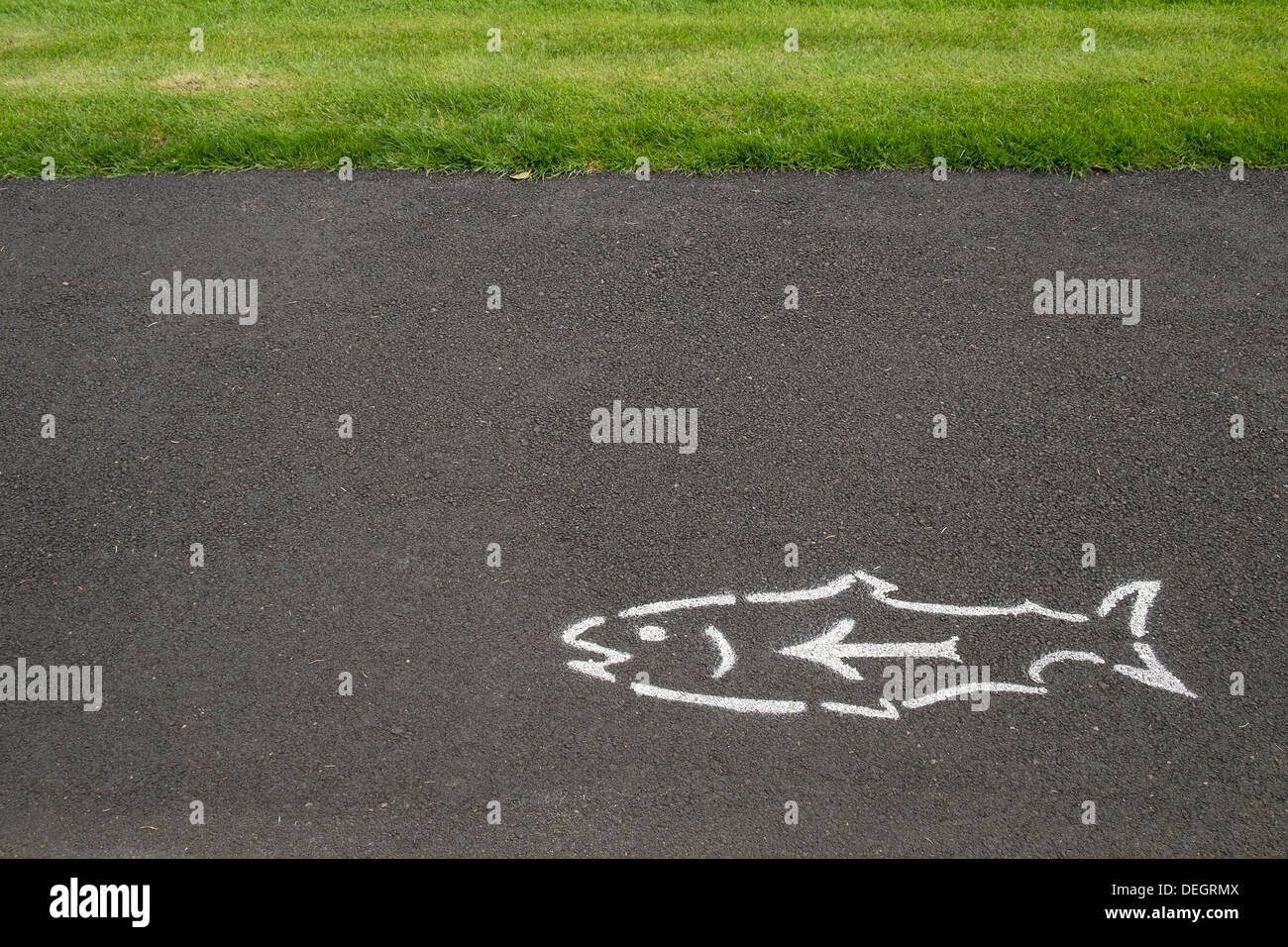 Directional sign in the form of a fish is painted on the footpath at Bonneville Dam Fish Hatchery, Oregon Stock Photo