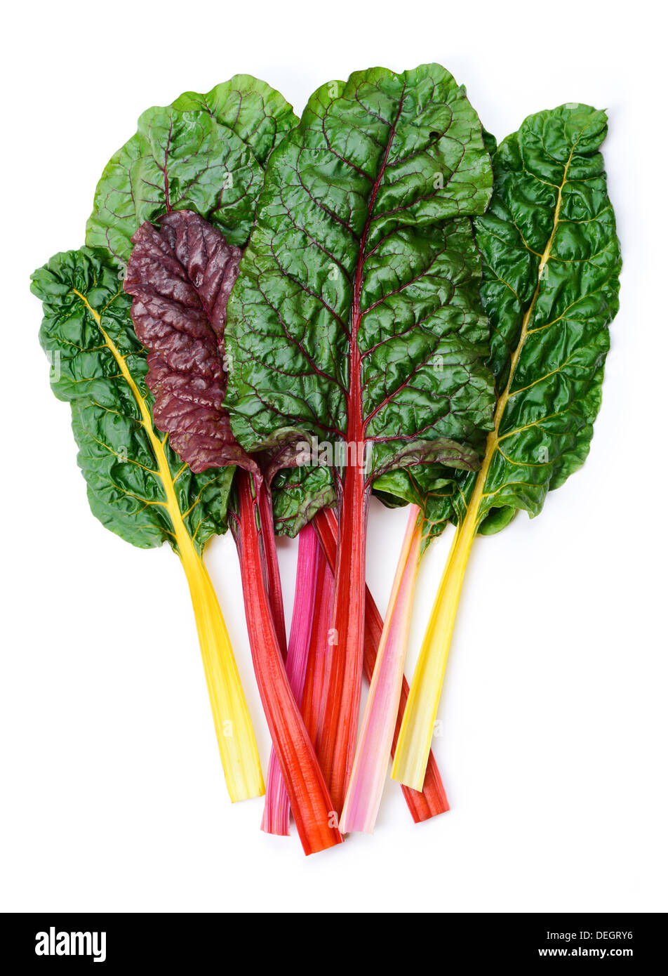 Mangold or Swiss chard 'Rainbow' leaves isolated on white Stock Photo