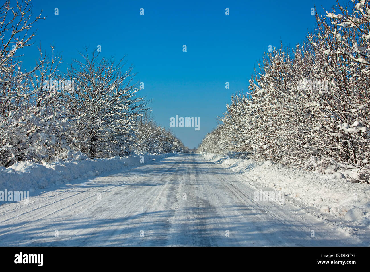 Snow-covered road with tree Stock Photo
