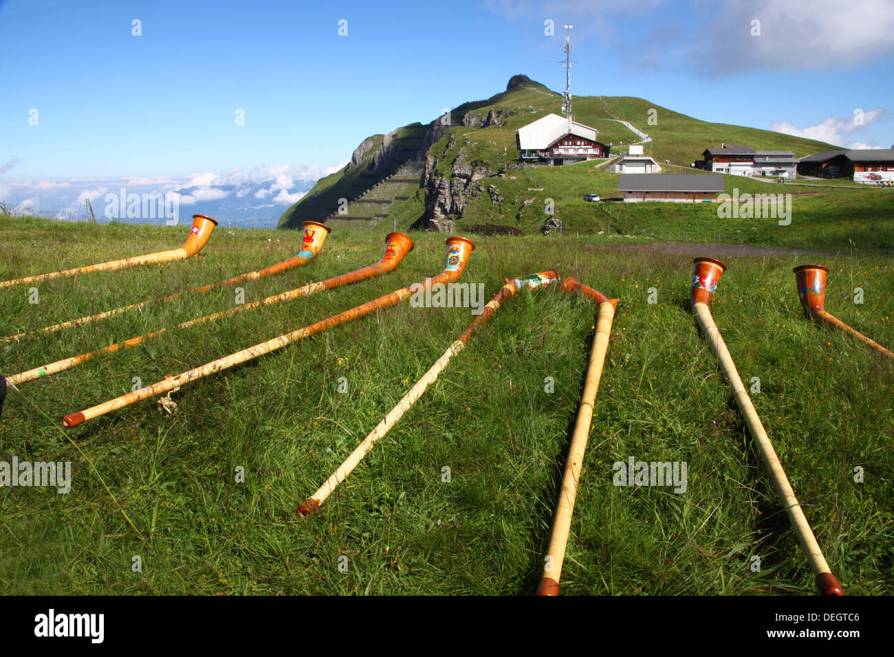 A line of Alpenhorns on a grassy bank, Switzerland Stock Photo