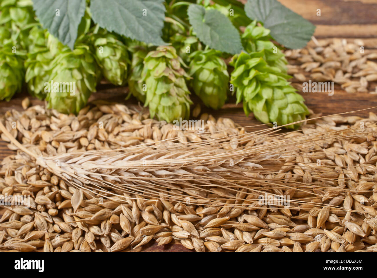 raw material for beer production Stock Photo Alamy
