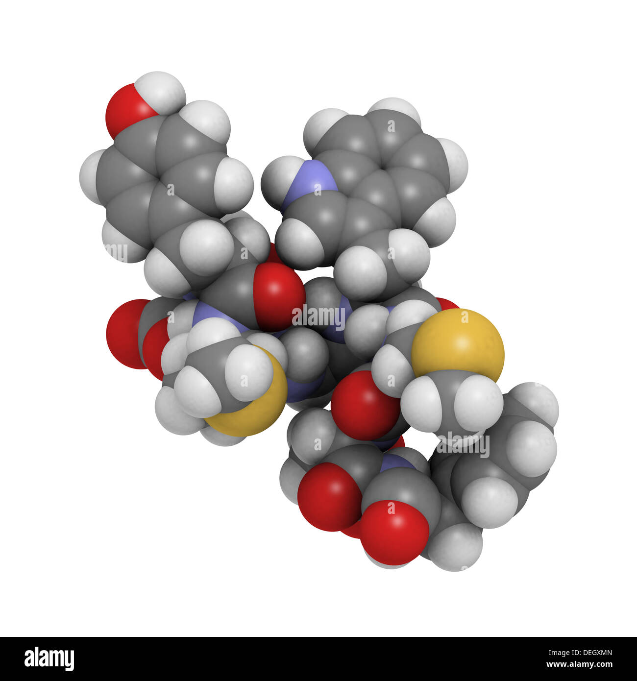 Cholecystokinin8 (CCK8) peptide molecule, chemical structure. Peptide hormone that stimulates