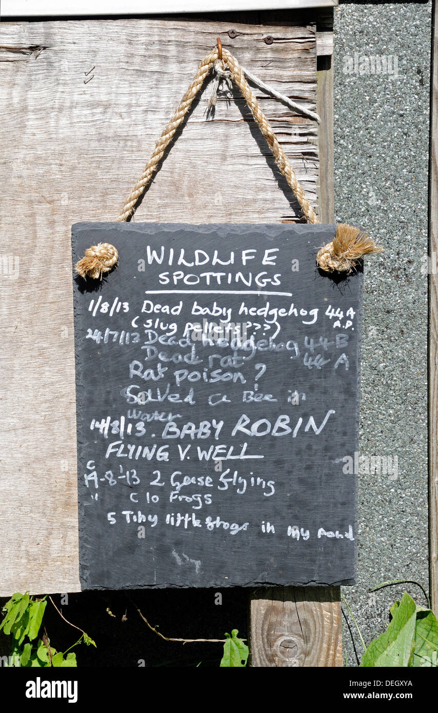 Blackboard showing wildlife spottings or sightings Stock Photo