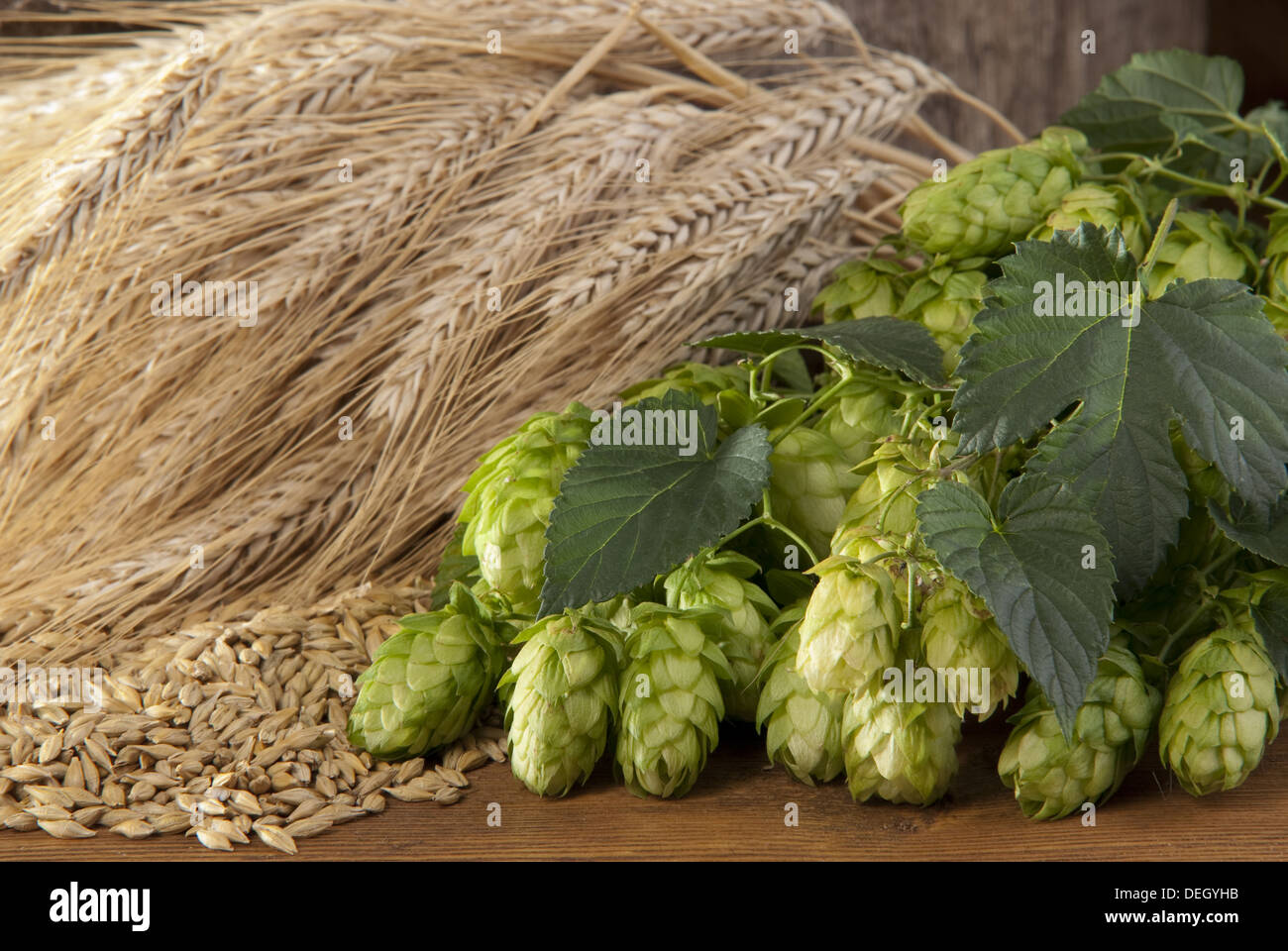 raw material for beer production Stock Photo Alamy