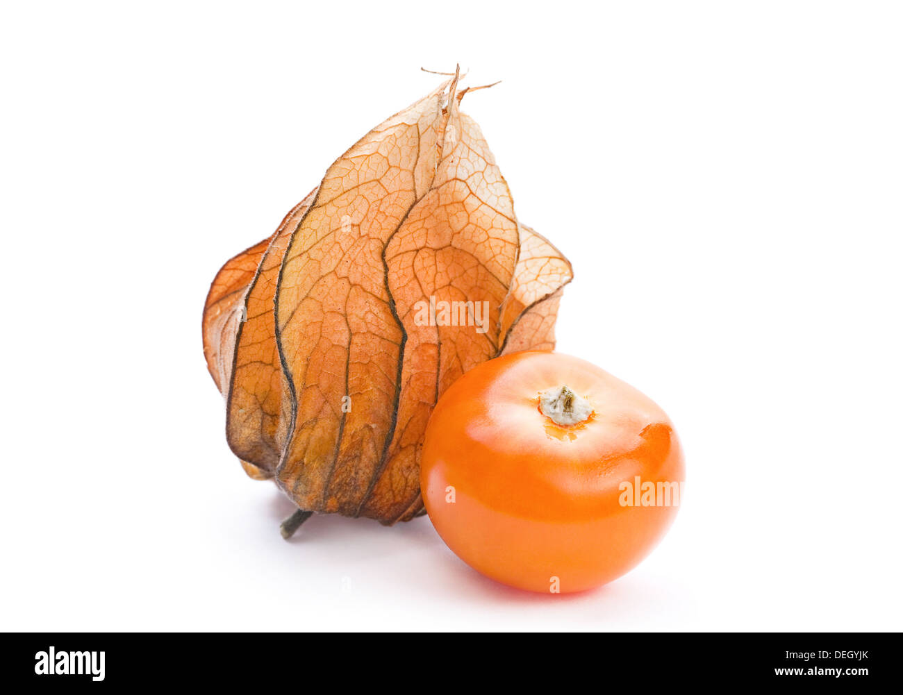Physalis fruit closeup isolated on white Stock Photo
