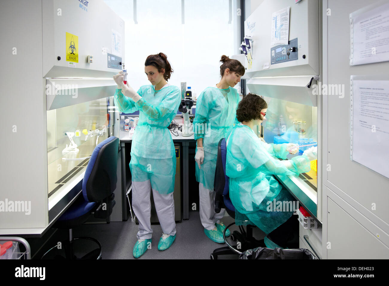 Biosafety Cell Culture Unit, Research in Oncology and