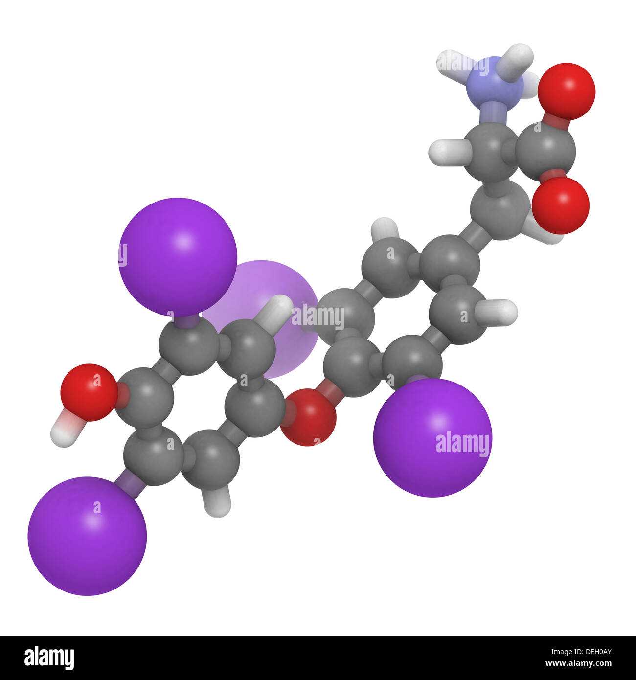 Thyroxine molecule, chemical structure. Thyroid gland hormone that