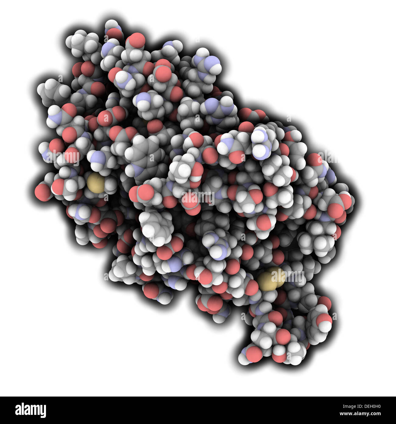 Interleukin 6 (IL-6) molecule, chemical structure. IL-6 is a an ...