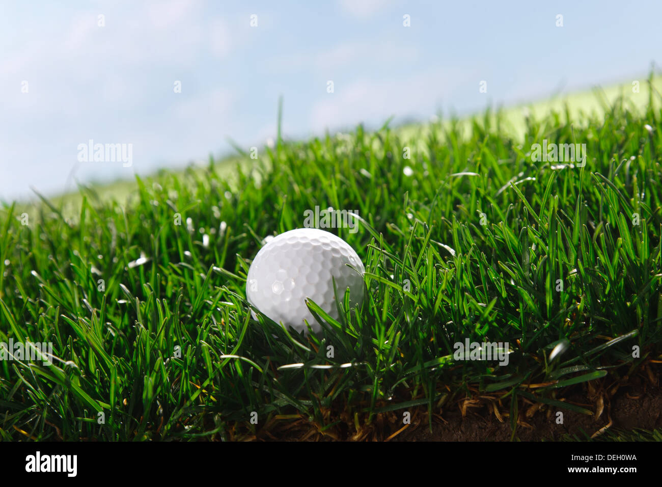 Golf ball on grass Stock Photo Alamy