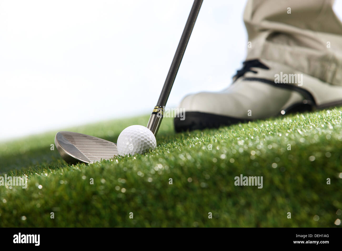 Golf player teeing up to hit ball  Stock Photo