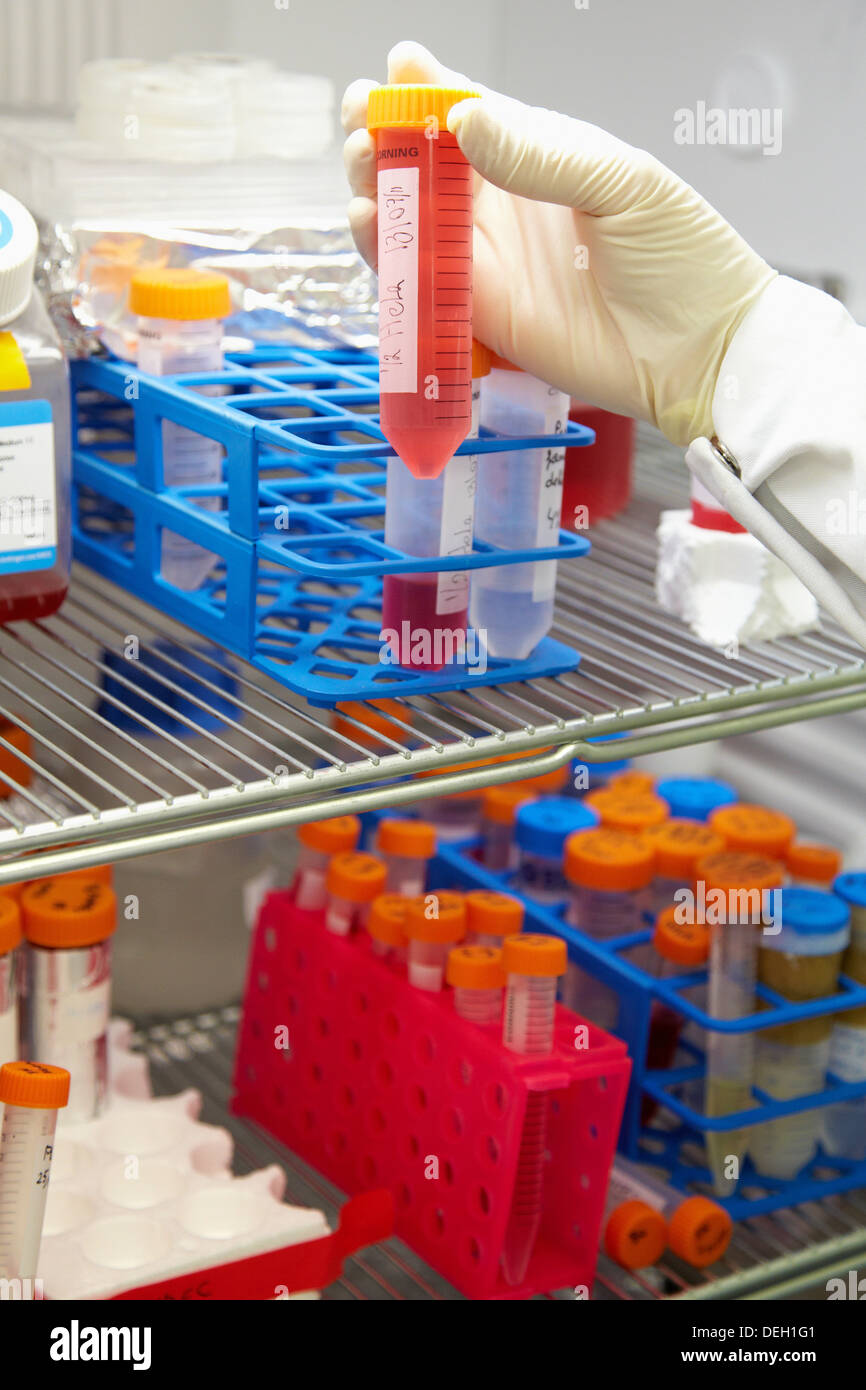 Culture bioengineering cell hires stock photography and images Alamy