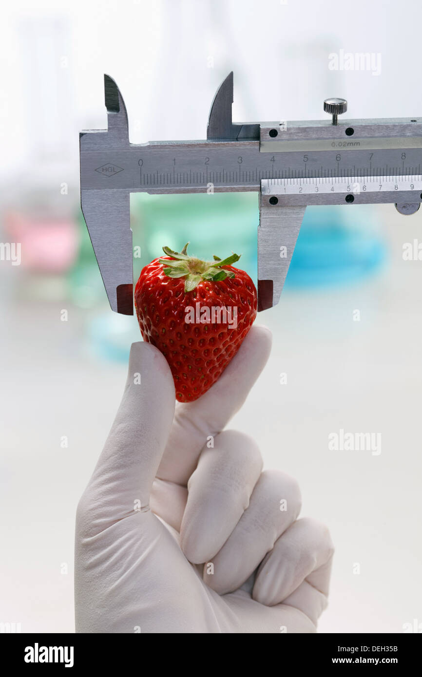 Human hand showing strawberry on hi-res stock photography and images ...