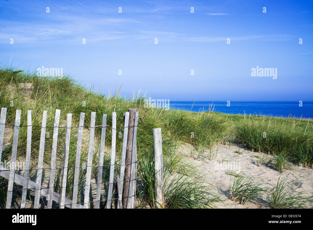 Lush dune grass leading to the ocean at Cape Cod National Seashore, Race Point Beach, Cape Cod, Massachusetts, USA Stock Photo