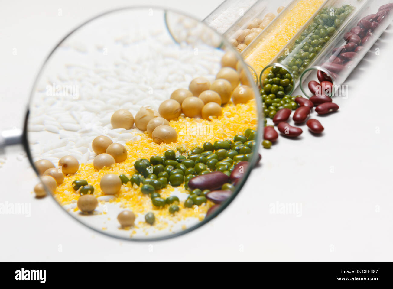 Lab Grain Grains in test tube in laboratory Stock Photo - Alamy