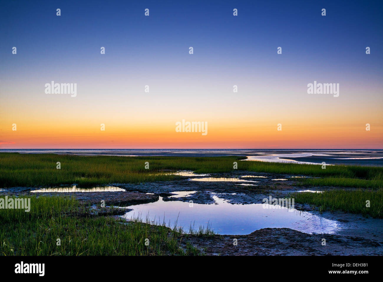 salt marsh tidal pools at low tide, Boat Meadow Beach, Eastham, Cape