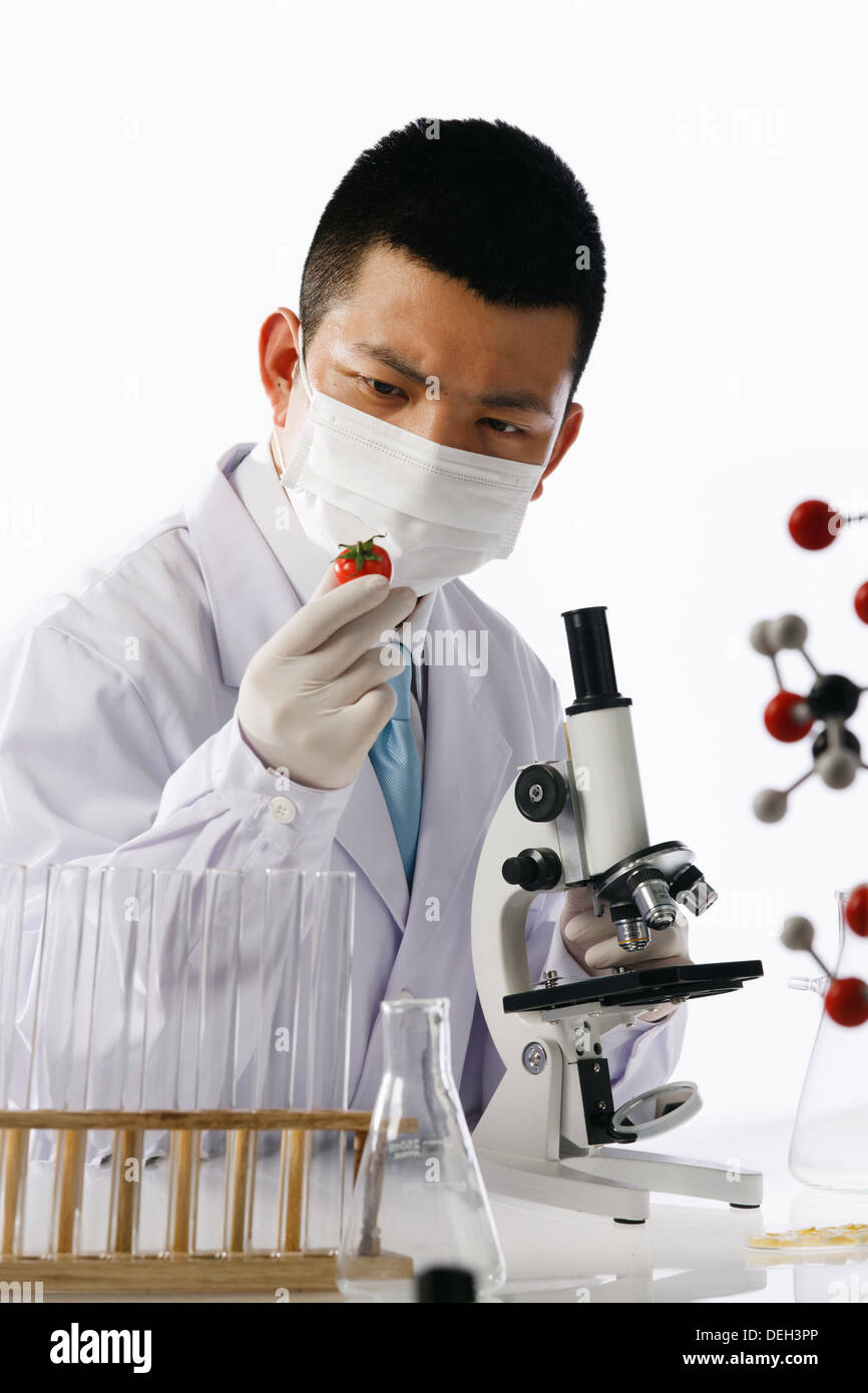 Asian people engaging in nurturing research Stock Photo