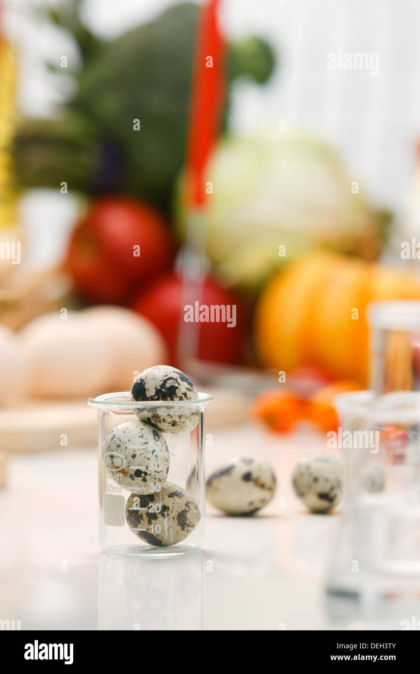 Quail eggs in laboratory containers Stock Photo Alamy