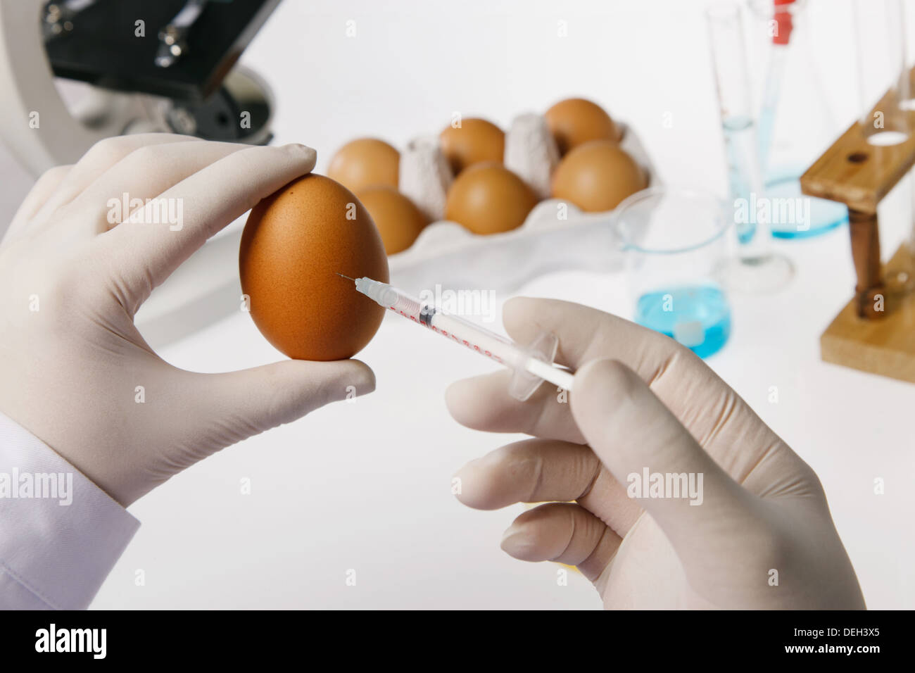 Asian people engaging in nurturing research  Stock Photo