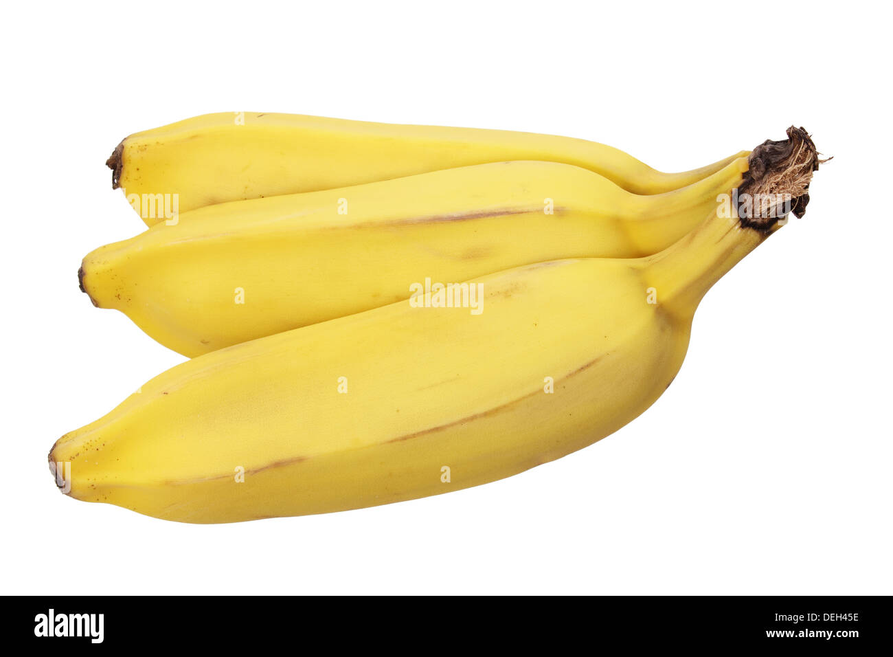 Sugar Bananas Stock Photo