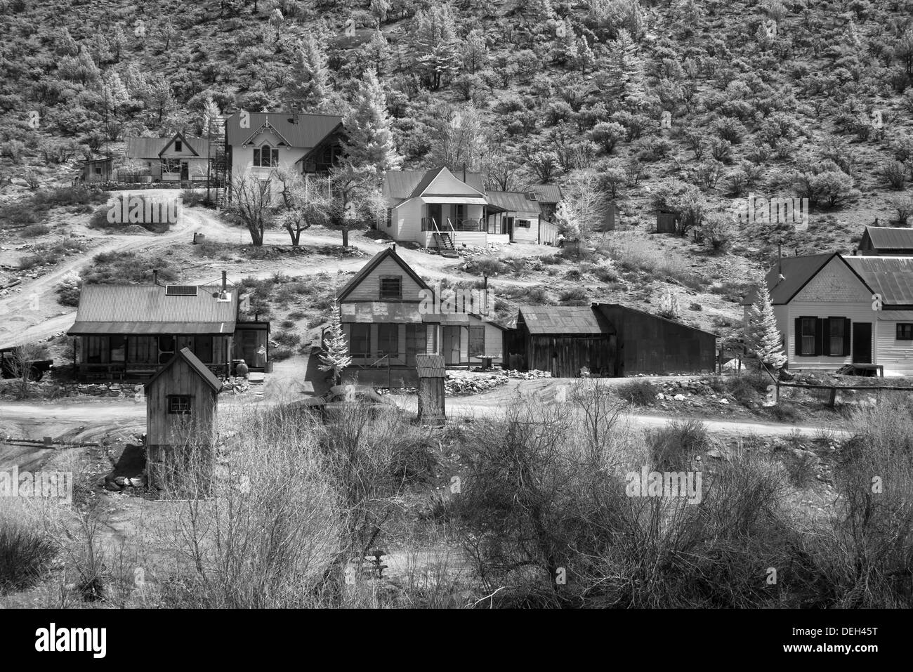 Silver City Ghost Town Idaho Stock Photo Alamy