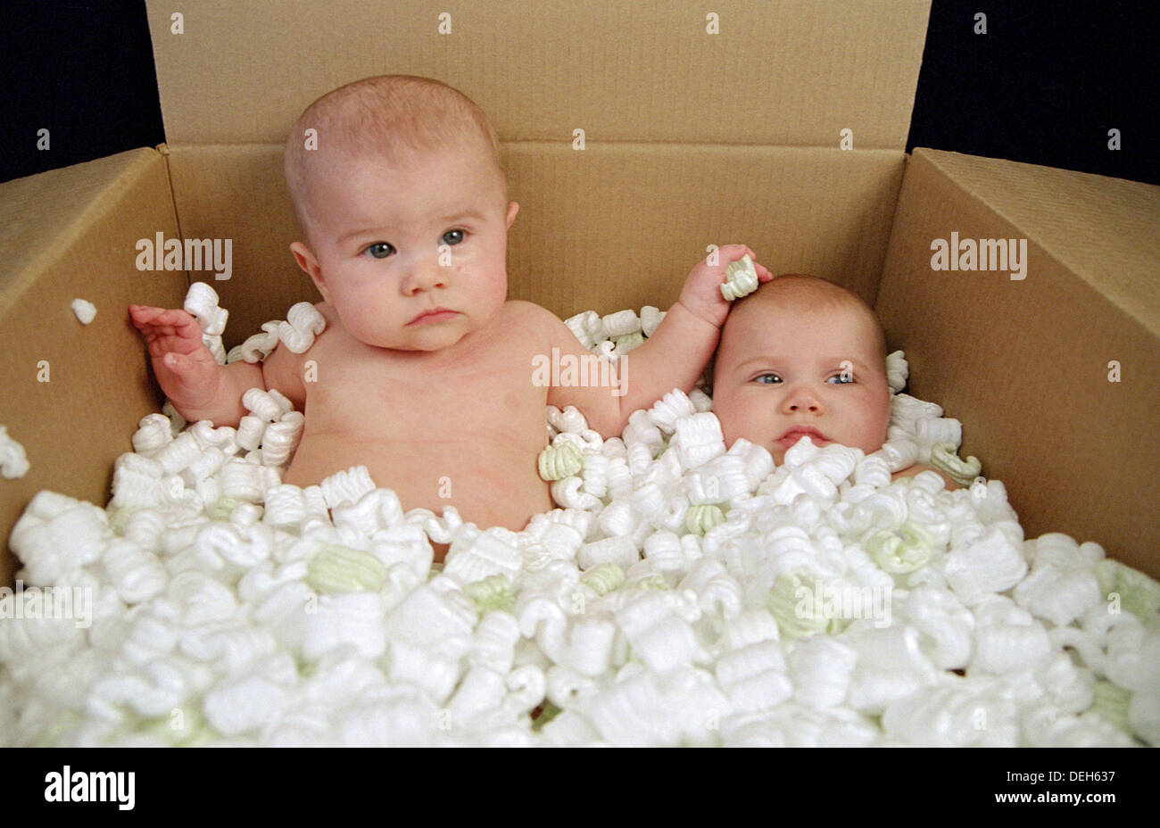 Polyurethane box hi-res stock photography and images - Alamy