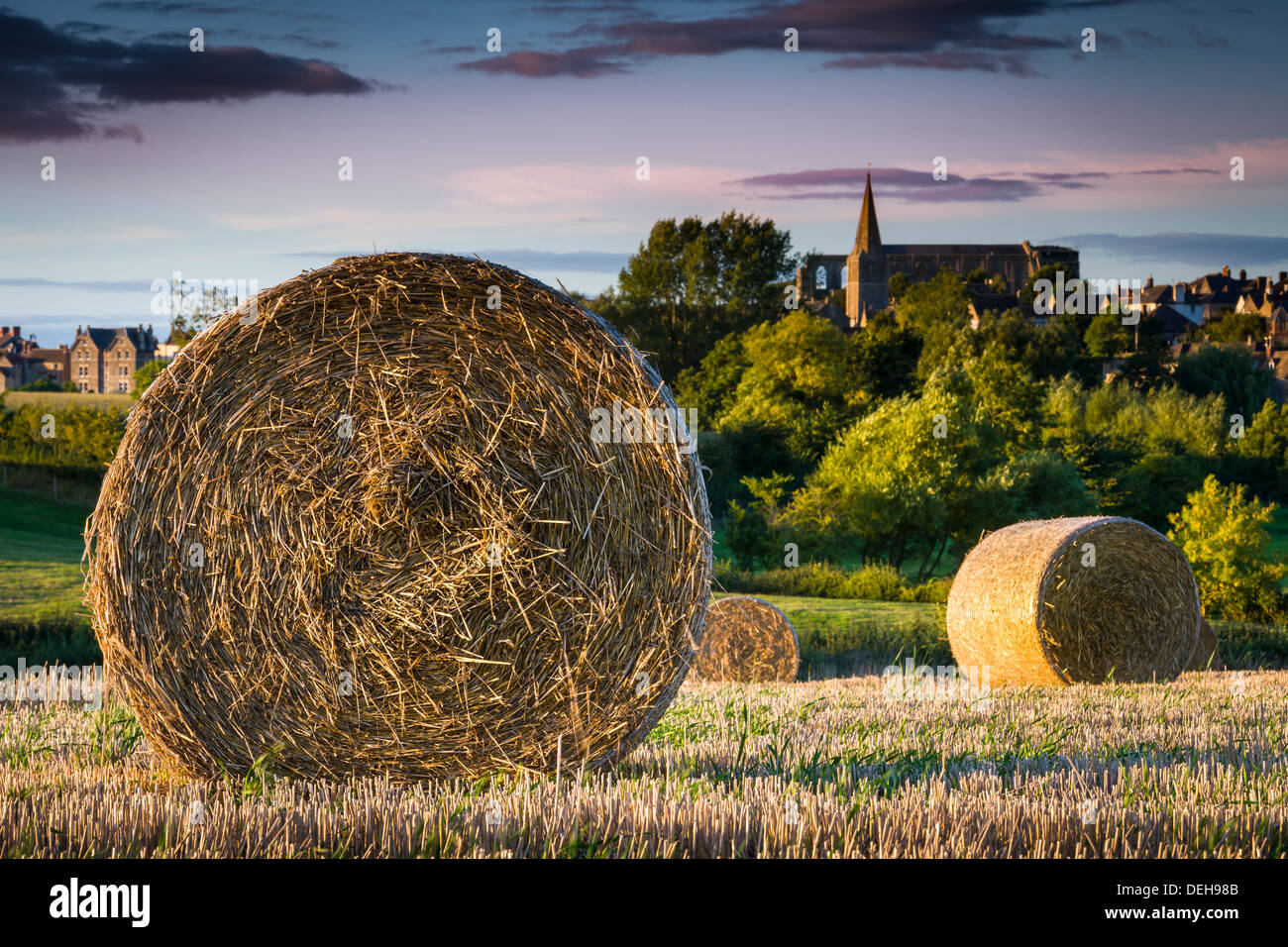 Straw Bales lie in a Wiltshire field, awaiting collection after the harvest, with Malmesbury Abbey in the background. Stock Photo