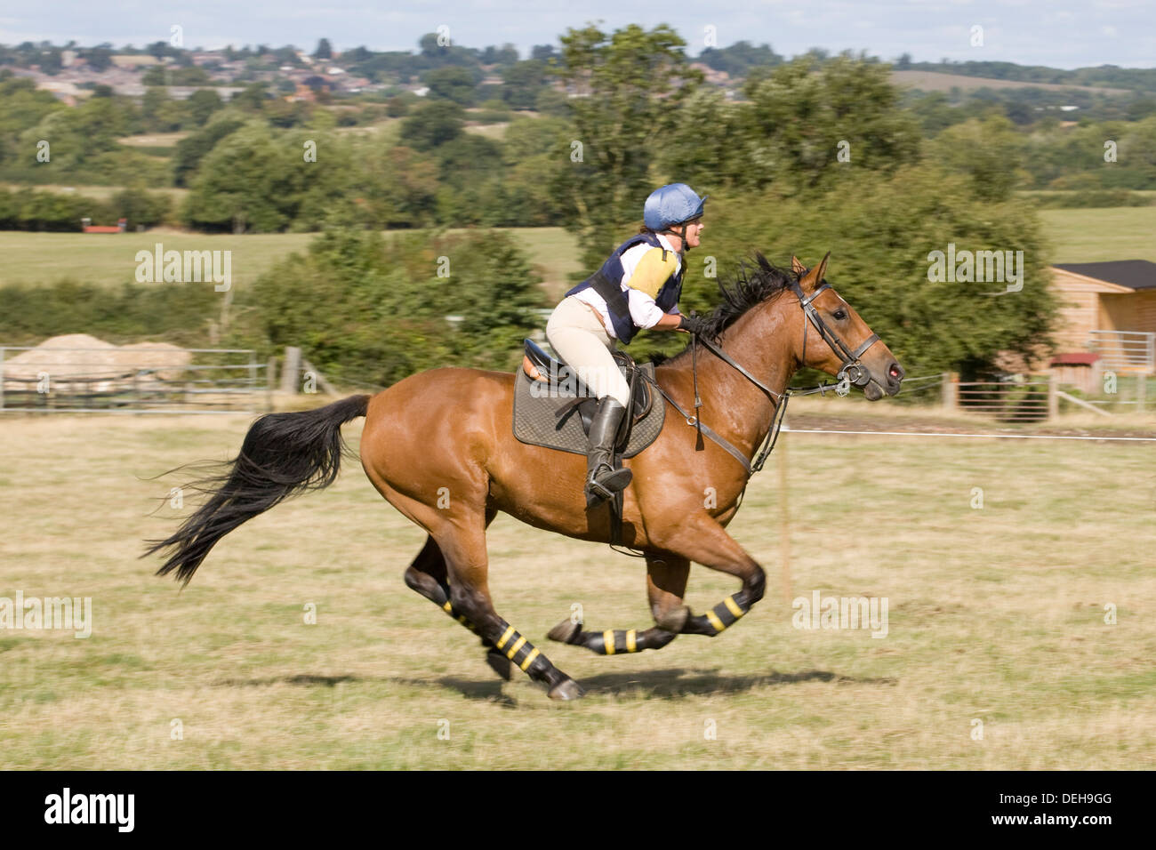 Warwickshire Hunt British equestrian Team Chase and Hunter trials Stock