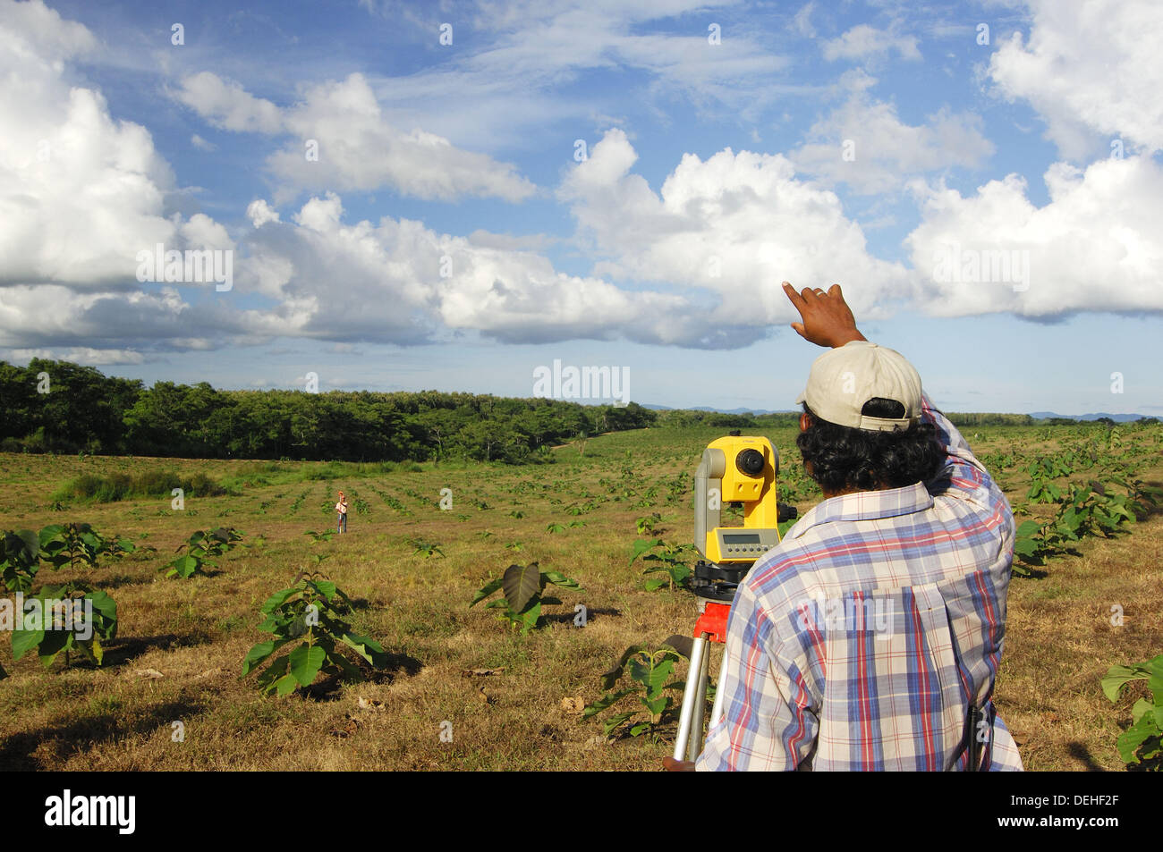 Workers at Teak plantation, Darien Province, Rep. of Panamá, C.A. 2006