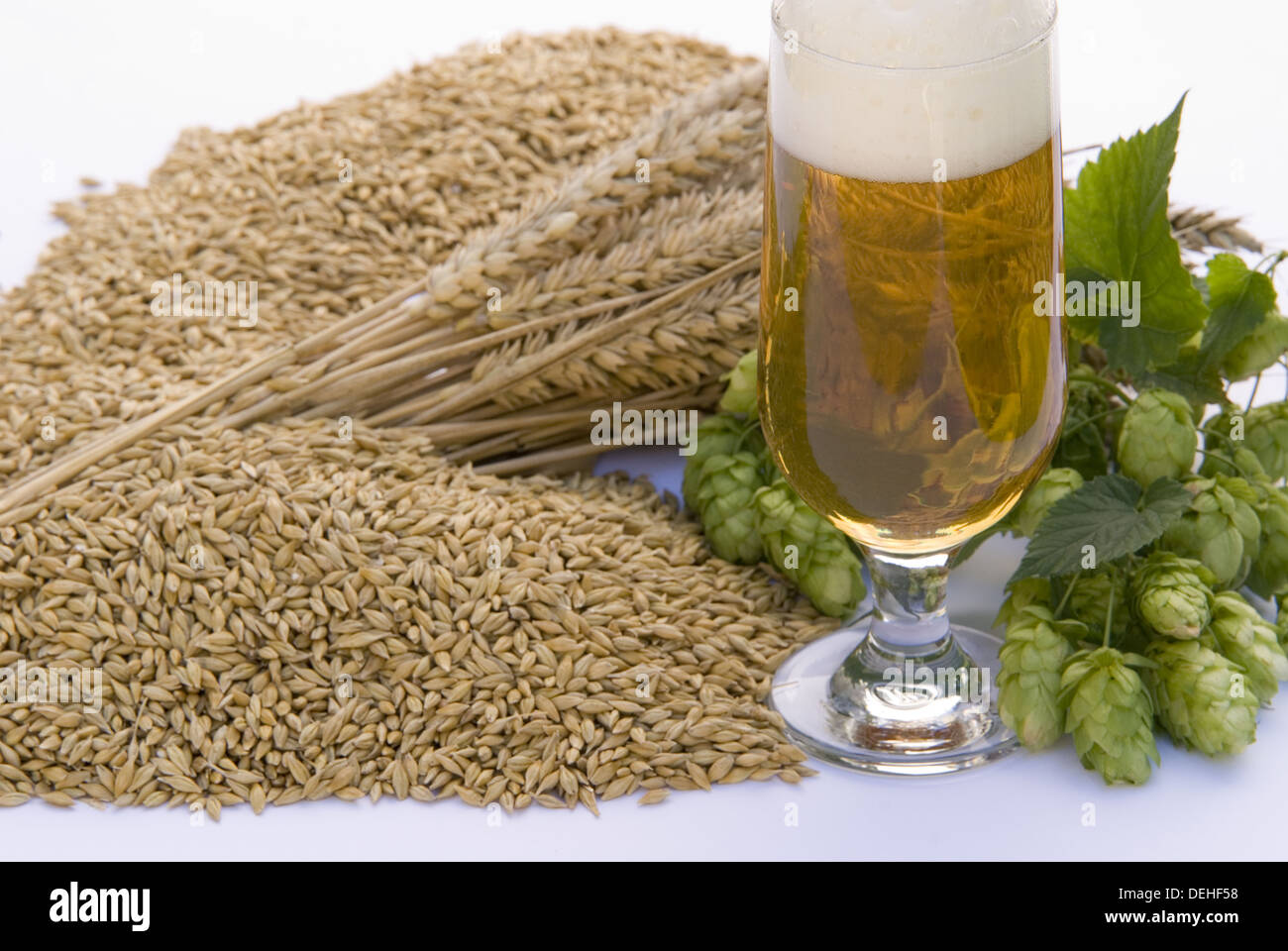 beer and raw material for beer production Stock Photo Alamy
