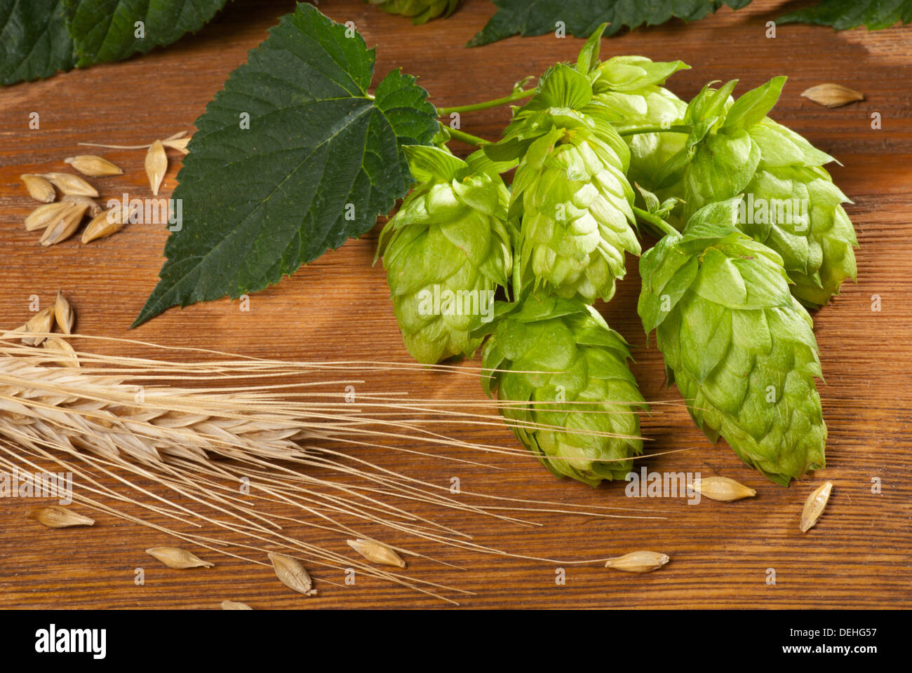 raw material for beer production Stock Photo Alamy