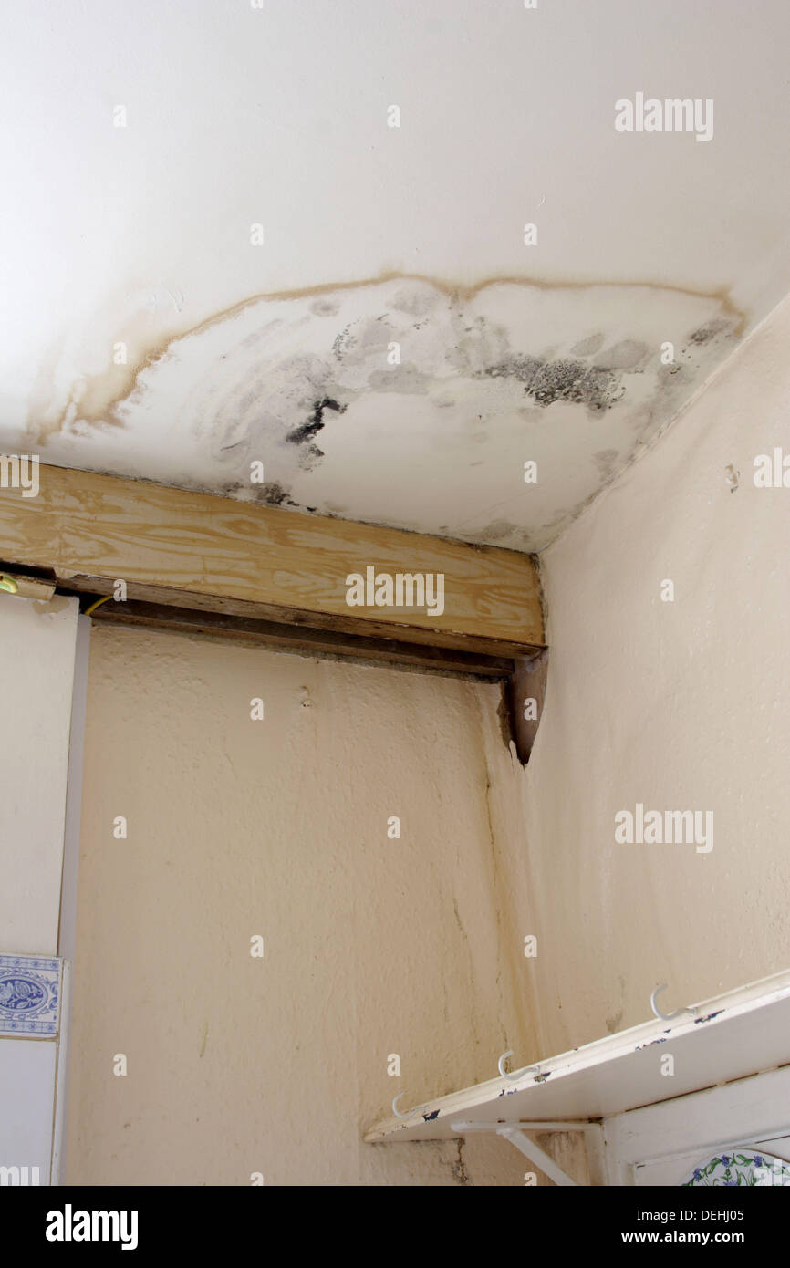 Stain On Ceiling From Water And Damp Stock Photo 60623589