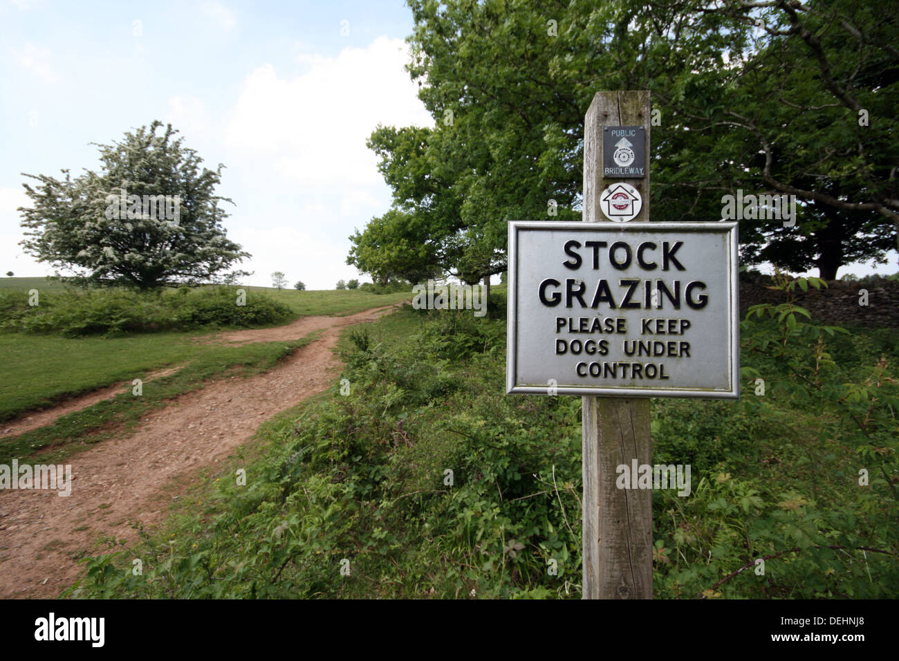 A Stock Grazing warning sign on farmland near Crook Peak, Somerset, United Kingdom. Stock Photo