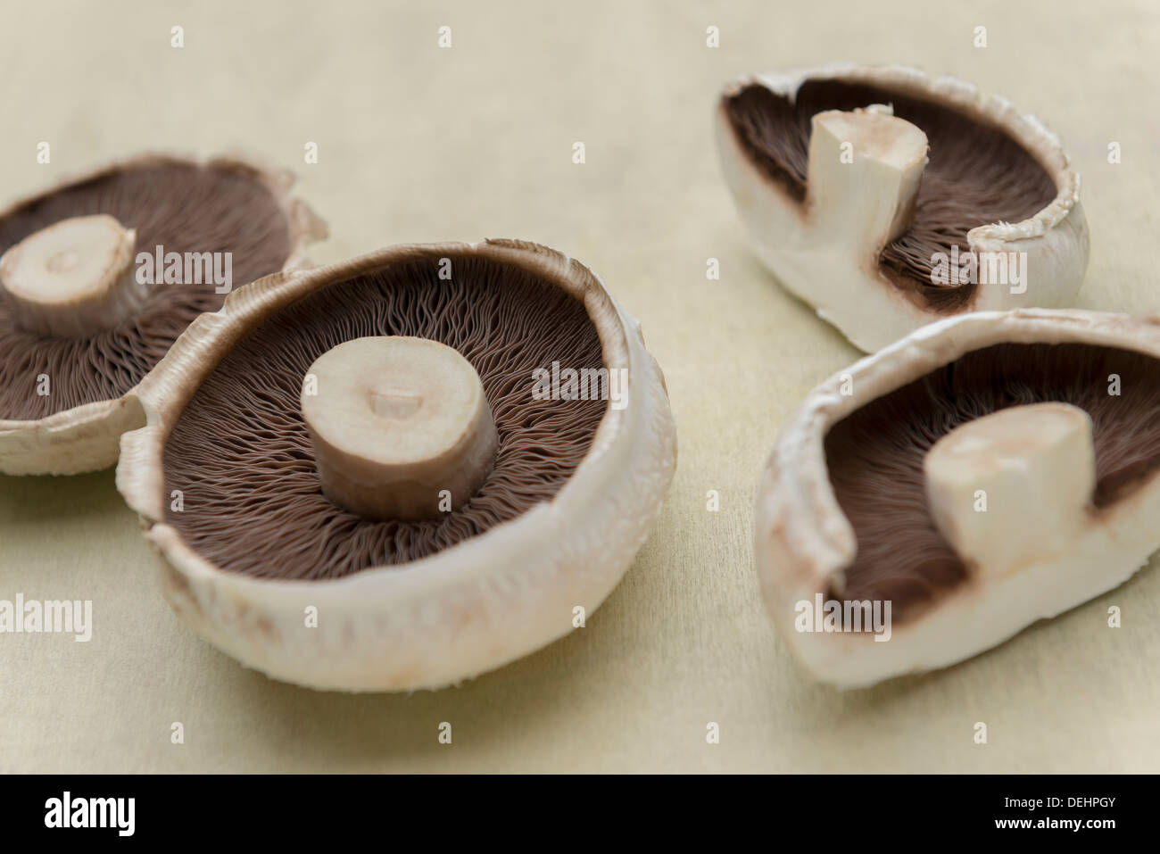 English mushrooms hi-res stock photography and images - Alamy