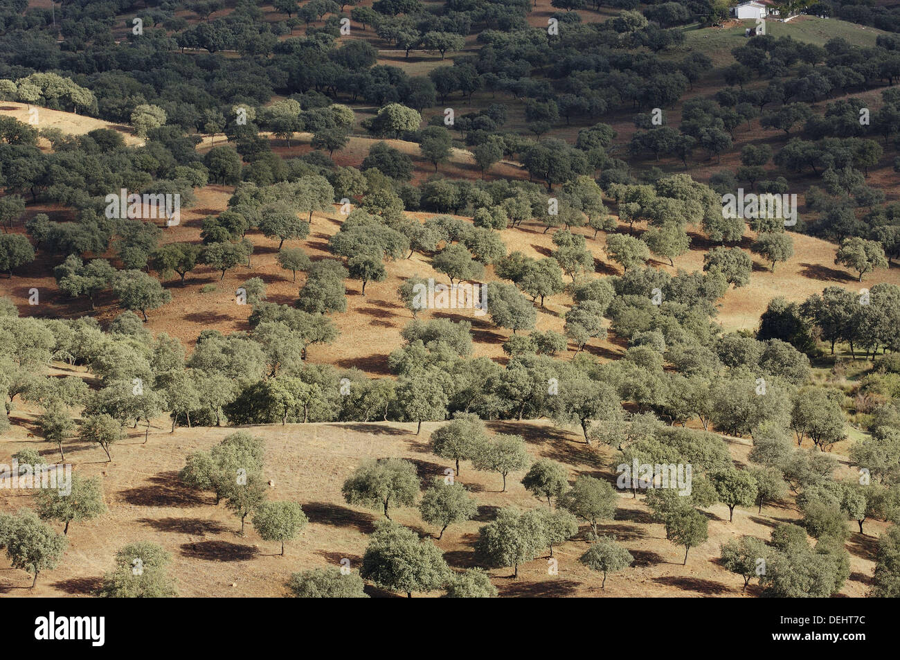 Sierra de hornachuelos natural park hires stock photography and images