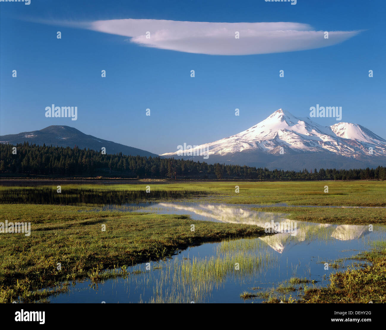 Mount Shasta from Grassy Lake, Klamath National Forest.California Stock