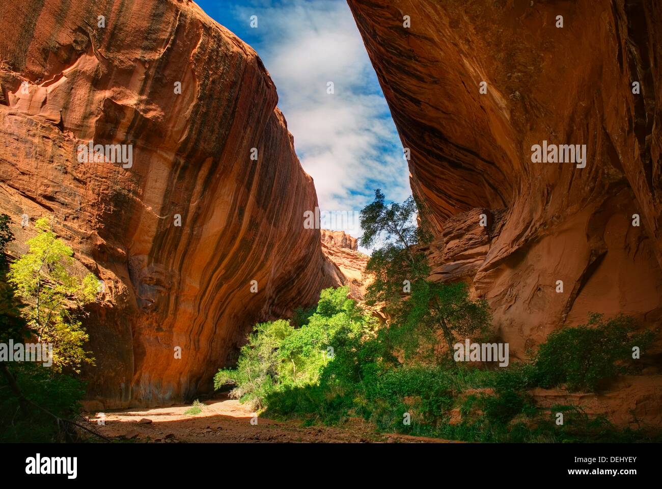 Neon Canyon, Grand Staircase Escalante National Monument Utah Stock