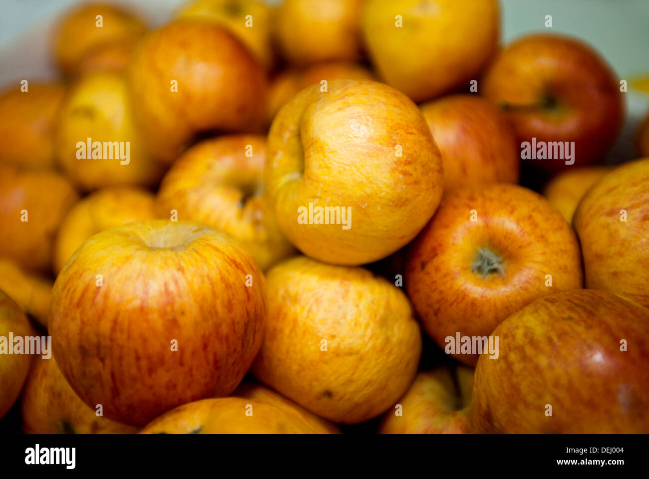 Bagged Apples On Store Shelf Stock Photo 6511699