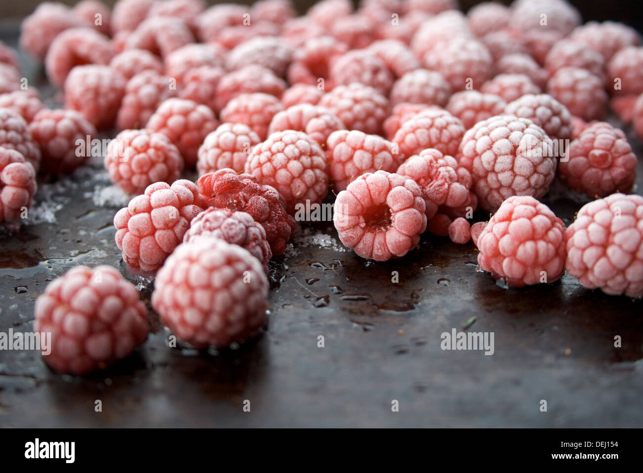 Diet sheet hi-res stock photography and images - Alamy