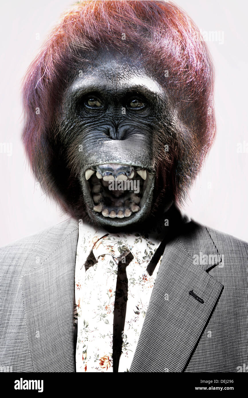 Senior man with gorilla's head laughing front White Background Stock Photo