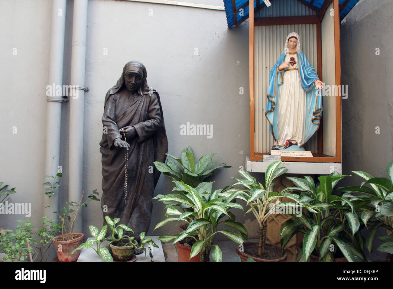 Statue of Mother Teresa in Mother house, Kolkata, India Stock Photo - Alamy