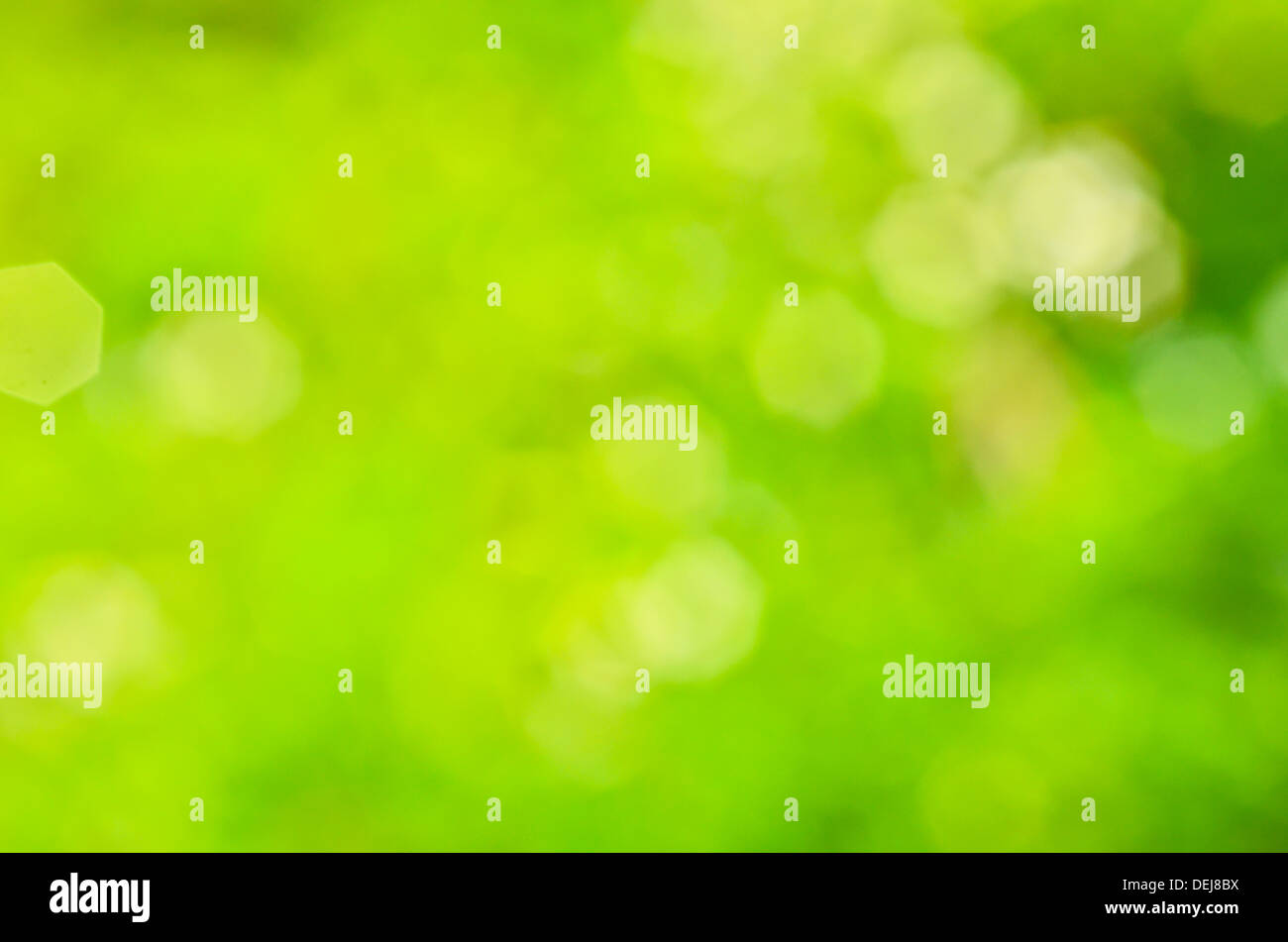 Sunny abstract green nature background Stock Photo - Alamy