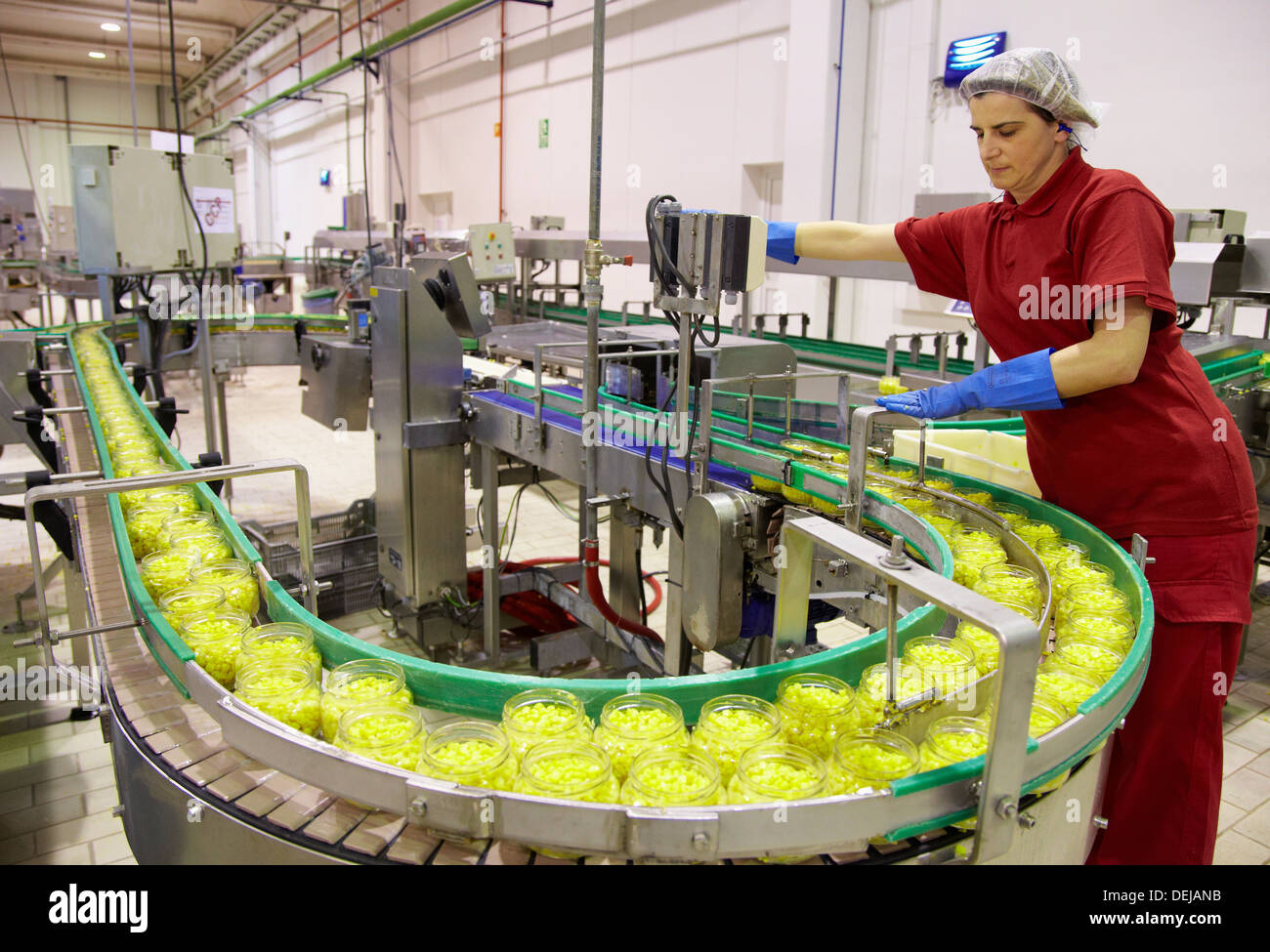 Food Production Line Vegetables High Resolution Stock Photography and