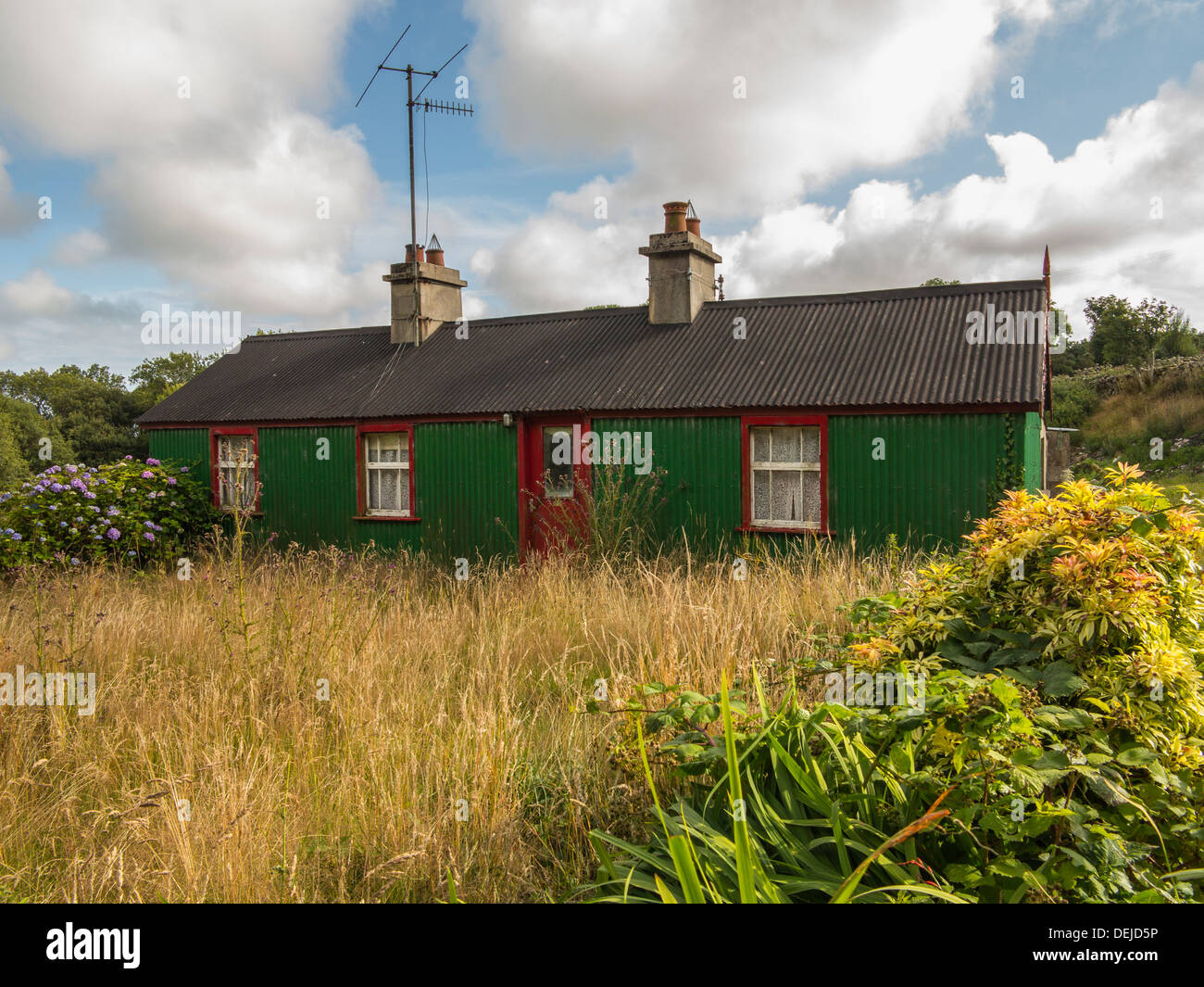 an old derelict house with overgrown weeds Stock Photo