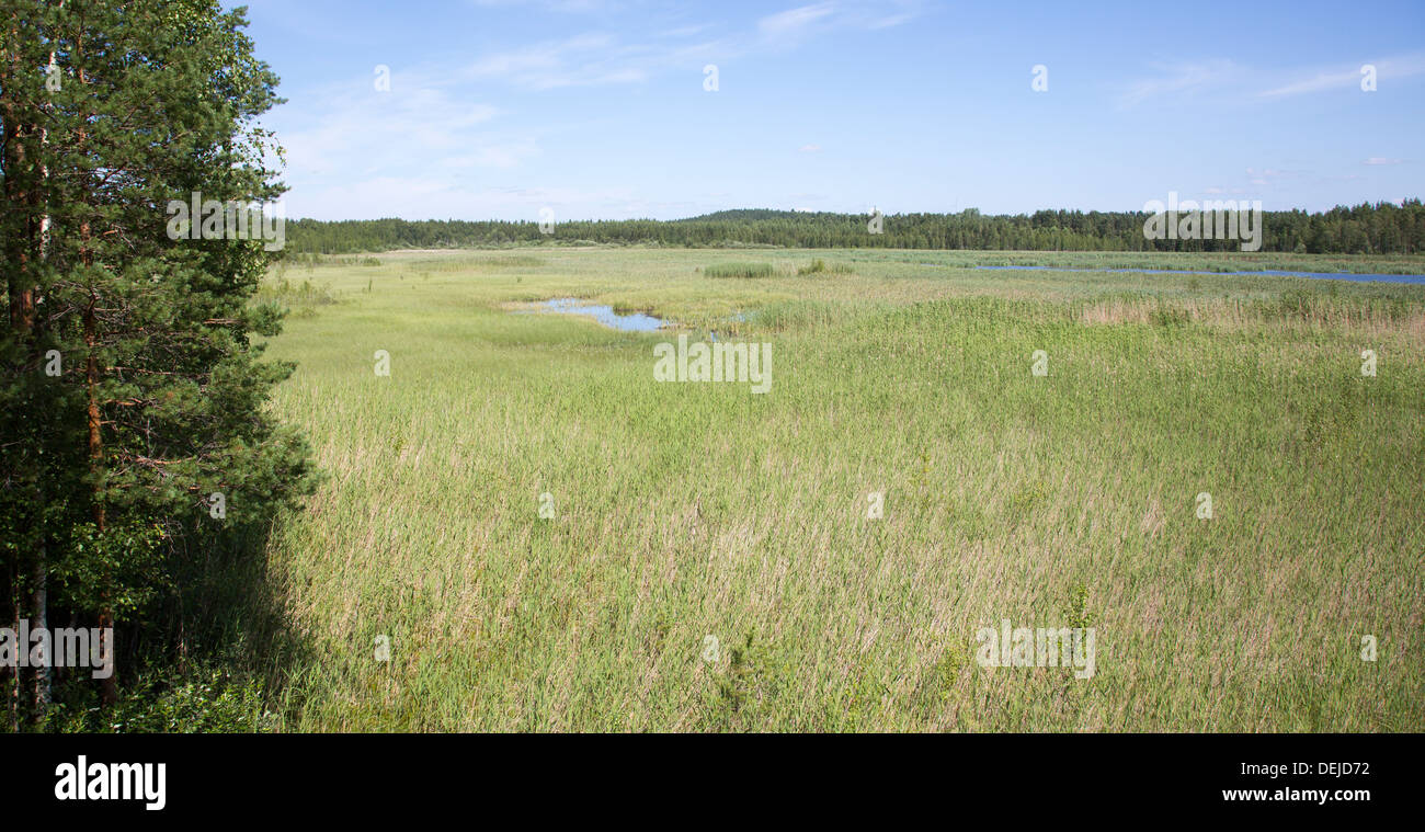 Vehkalampi birdwatching area wetlands and bog at Pieksämäki , Finland Stock Photo