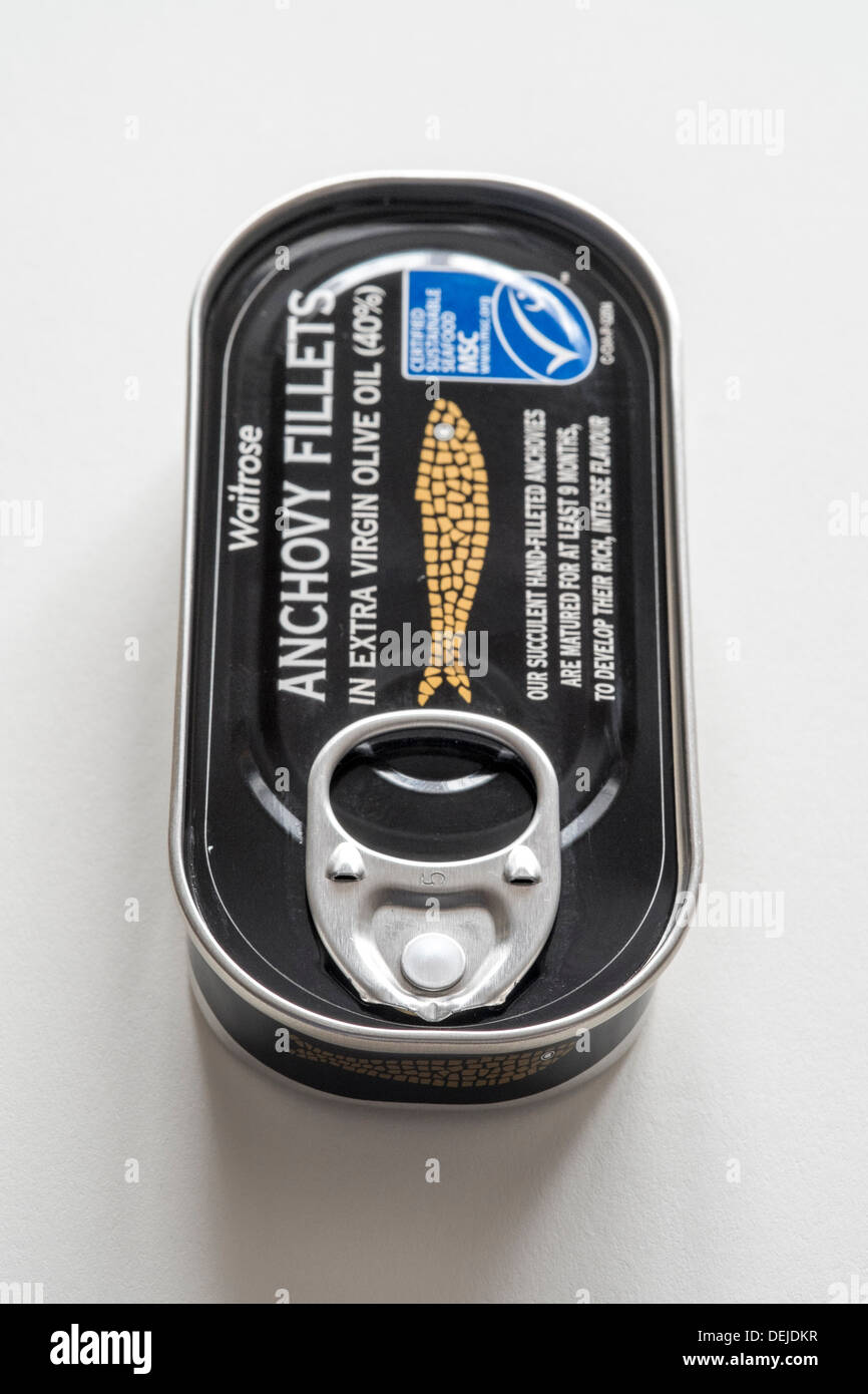 Ring pull can of Waitrose Anchovies on white background Stock Photo Alamy