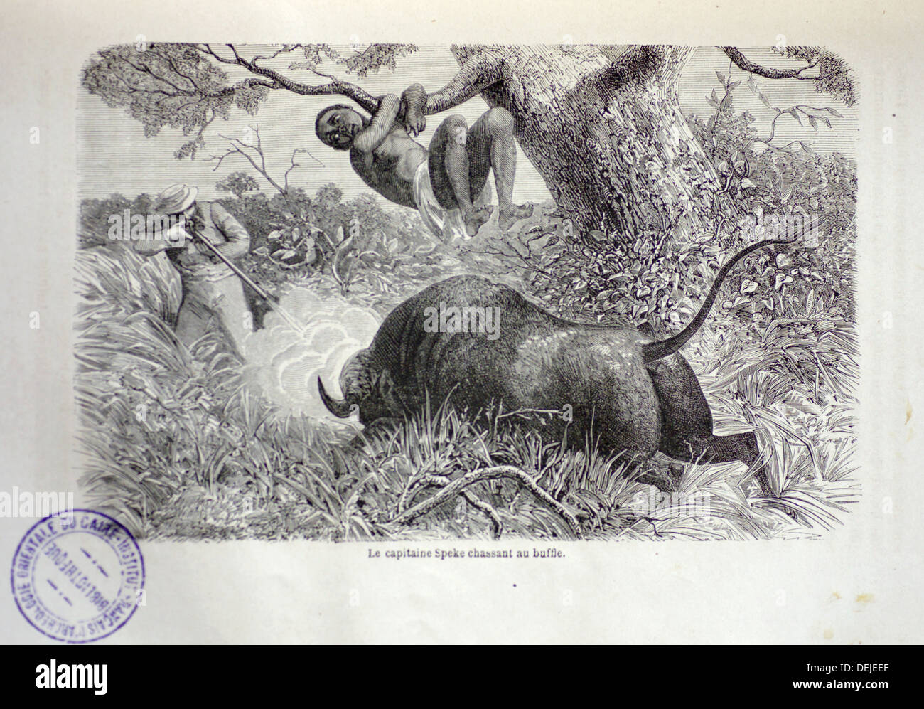Engraving, plate illustrative of ´Les sources du Nil. Journal de voyage du Capitaine John Hanning Speke´ (1865) by John Hanning Stock Photo