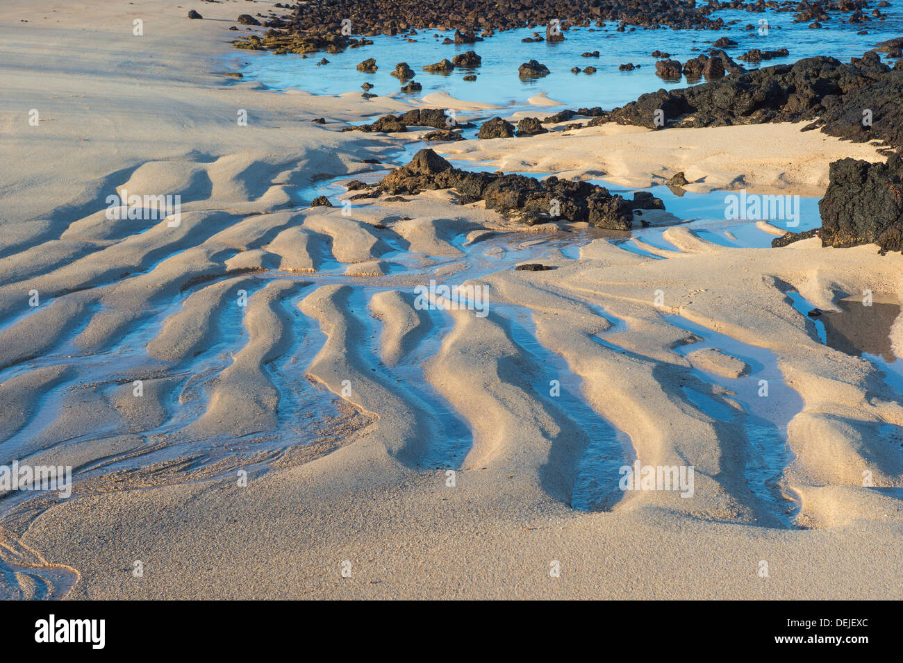 Dragon Hill, Santa Cruz Island, Galapagos, Ecuador Stock Photo Alamy